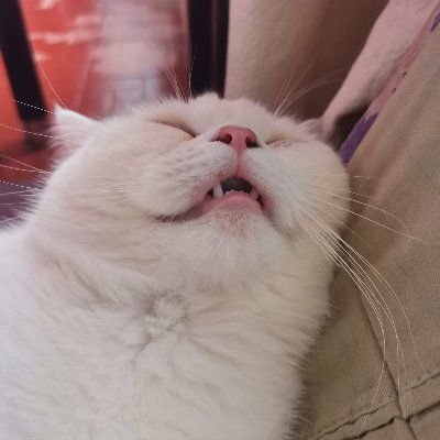 Freshelle Mae Heruela's profile photo