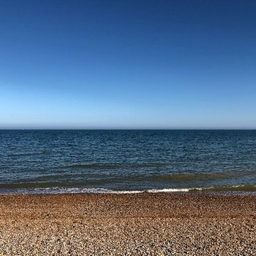 James Beech's profile photo