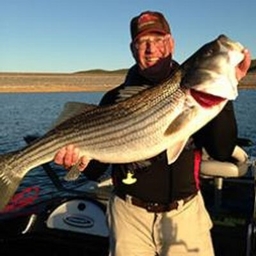 Roger George's profile photo