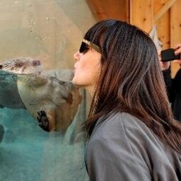Carol Motsinger's profile photo