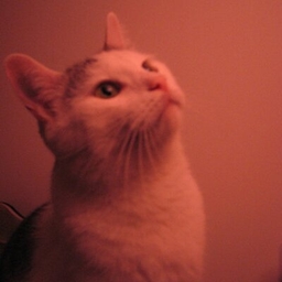 Jacob Bunge's profile photo