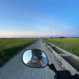 Bryan Pietsch's profile photo
