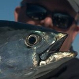Gary Reich's profile photo