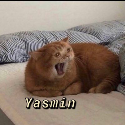 Yasmin Kleinbart's profile photo