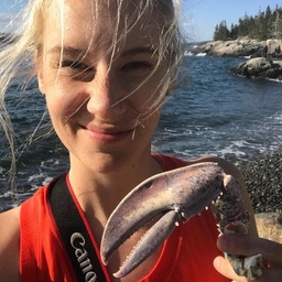 Aislinn Sarnacki's profile photo