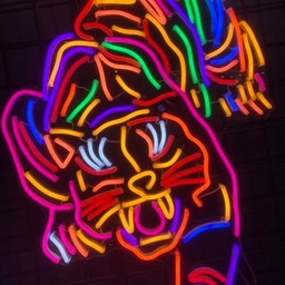 Joe Bindloss's profile photo