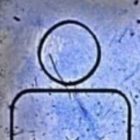 Owen Carry's profile photo