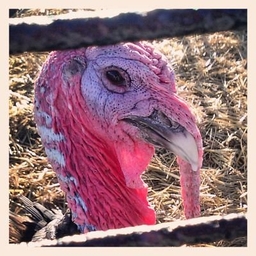 Matt Dayhoff's profile photo