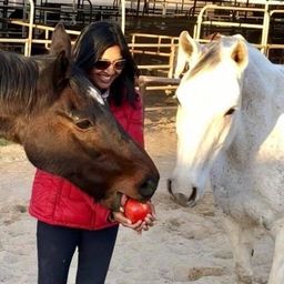 Sonya Hamasaki's profile photo