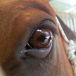 Tricia Duffield's profile photo