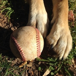 Pete Grathoff's profile photo