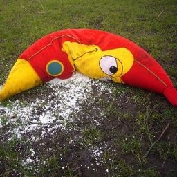 Frank Keil's profile photo
