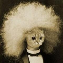 Nadja Spiegelman's profile photo