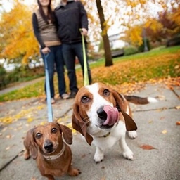 Christine Caplan's profile photo