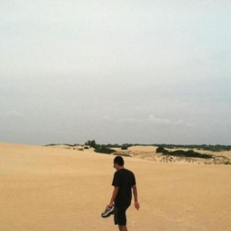 Wesley Case's profile photo