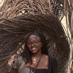 Tobi Raji's profile photo