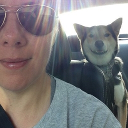 Joy Russo's profile photo