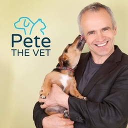 Pete Wedderburn's profile photo
