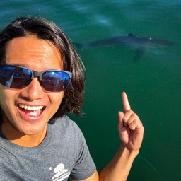 Brian Phan's profile photo
