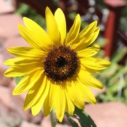 Karen Levy's profile photo