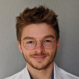Hugo Foyer's profile photo