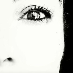 Alicia Del Castillo's profile photo