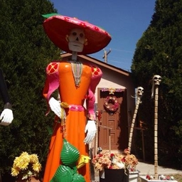 Nancy Lofholm's profile photo