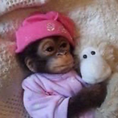 Heven Haile's profile photo