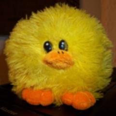 MJ Guthrie's profile photo