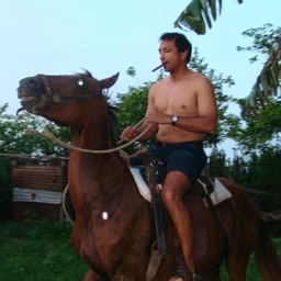 Thair Shaikh's profile photo