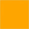 James Serratore's profile photo