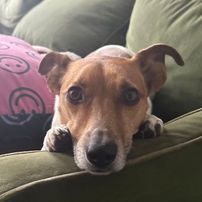 Ryan Giglio's profile photo