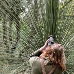 Cindy Carlsson's journalist profile photo