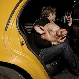 Matt Goulding's profile photo