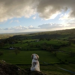 Ivan Gaskell's profile photo