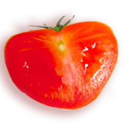 Jeanne Horak's profile photo