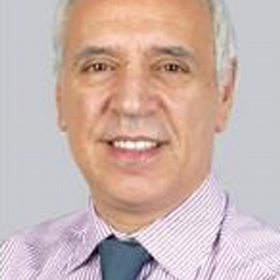 Steve Cuozzo's profile photo