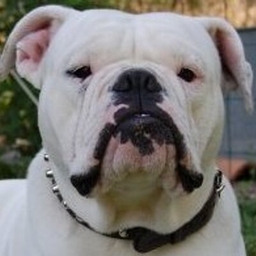 Paul Ridden's profile photo