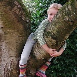 Rory Delargy's profile photo