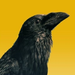 Tom Berger's profile photo
