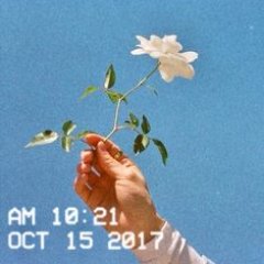 Tiffany Jow's profile photo