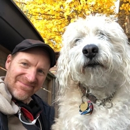 Steve Gow's journalist profile photo