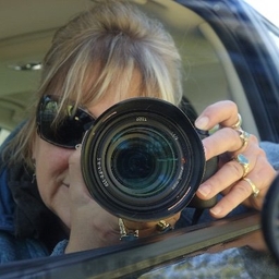 Carol Patterson's journalist profile photo