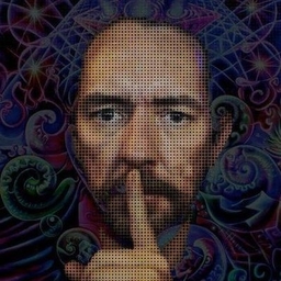 Adriaan Alsema's journalist profile photo