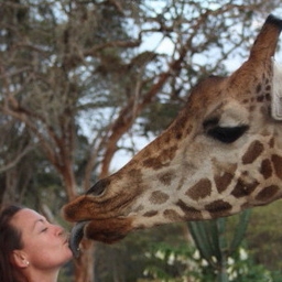 Lisa Grainger's profile photo