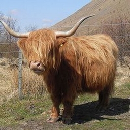 Andrew Downie's journalist profile photo