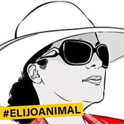 Claudia Ramos's profile photo