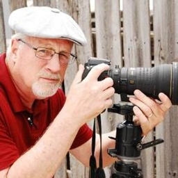 Steve Moseley's profile photo