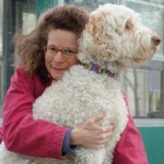 Ariella Budick's profile photo