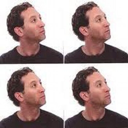 Ari Bendersky's profile photo